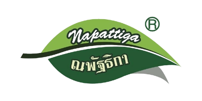 Napattiga brand logo with green leaf design and Thai-style product branding.